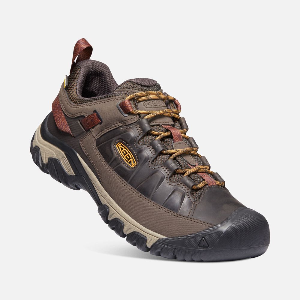 Keen Wandelschoenen Heren Bruin/Oranje - Targhee Iii Waterproof - 85041-JMDH